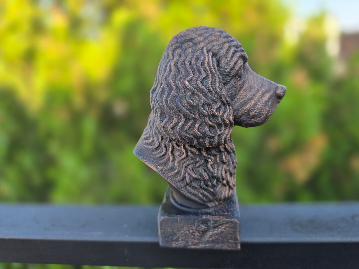 Cockapoo Bust