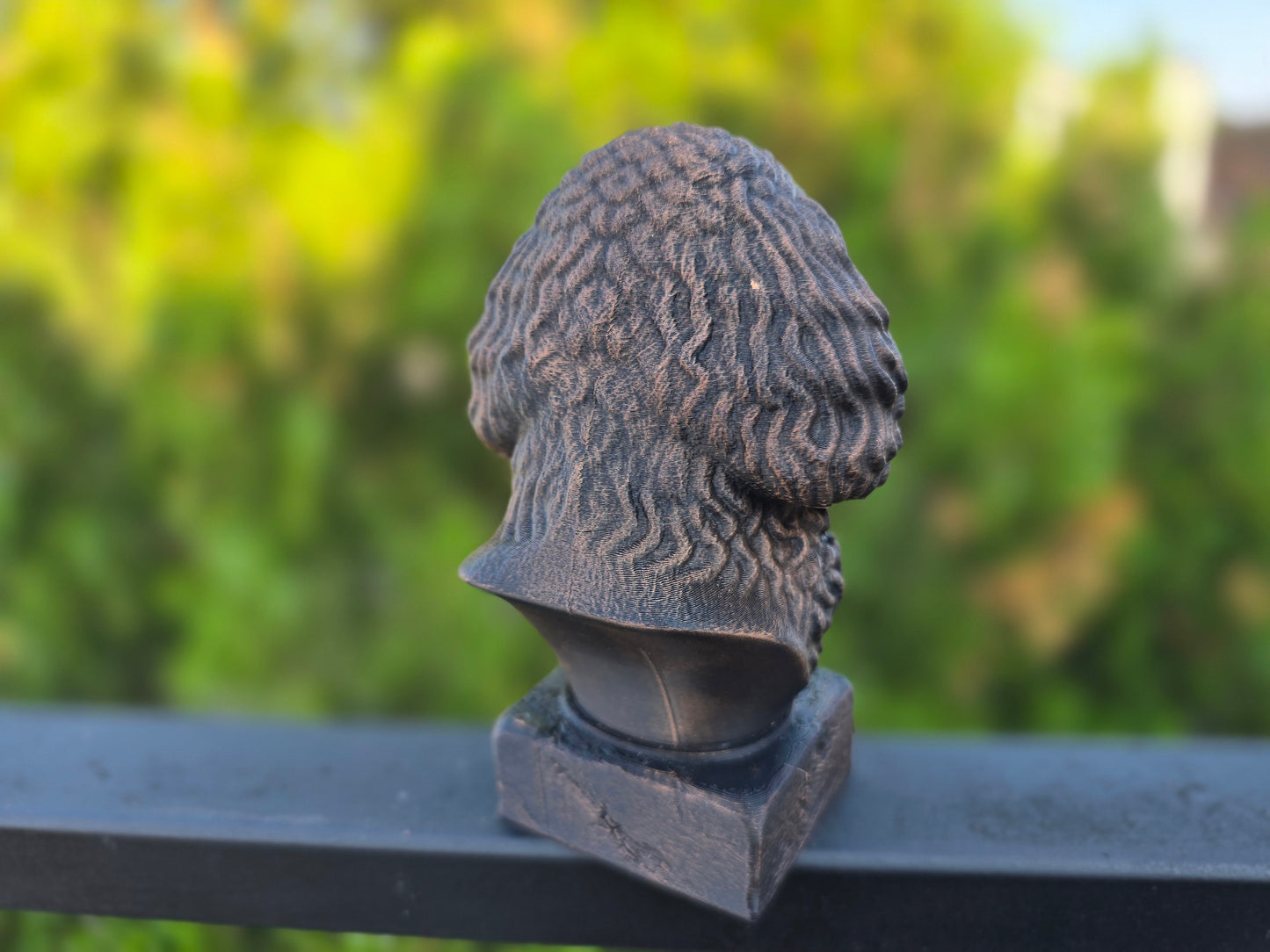 Cockapoo Bust
