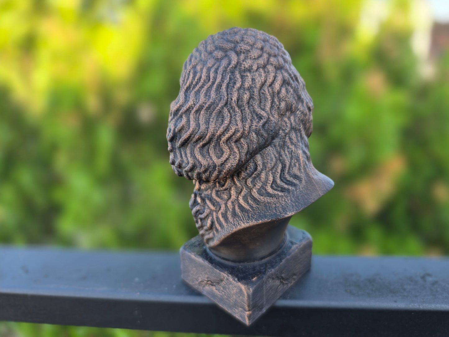 Cockapoo Bust