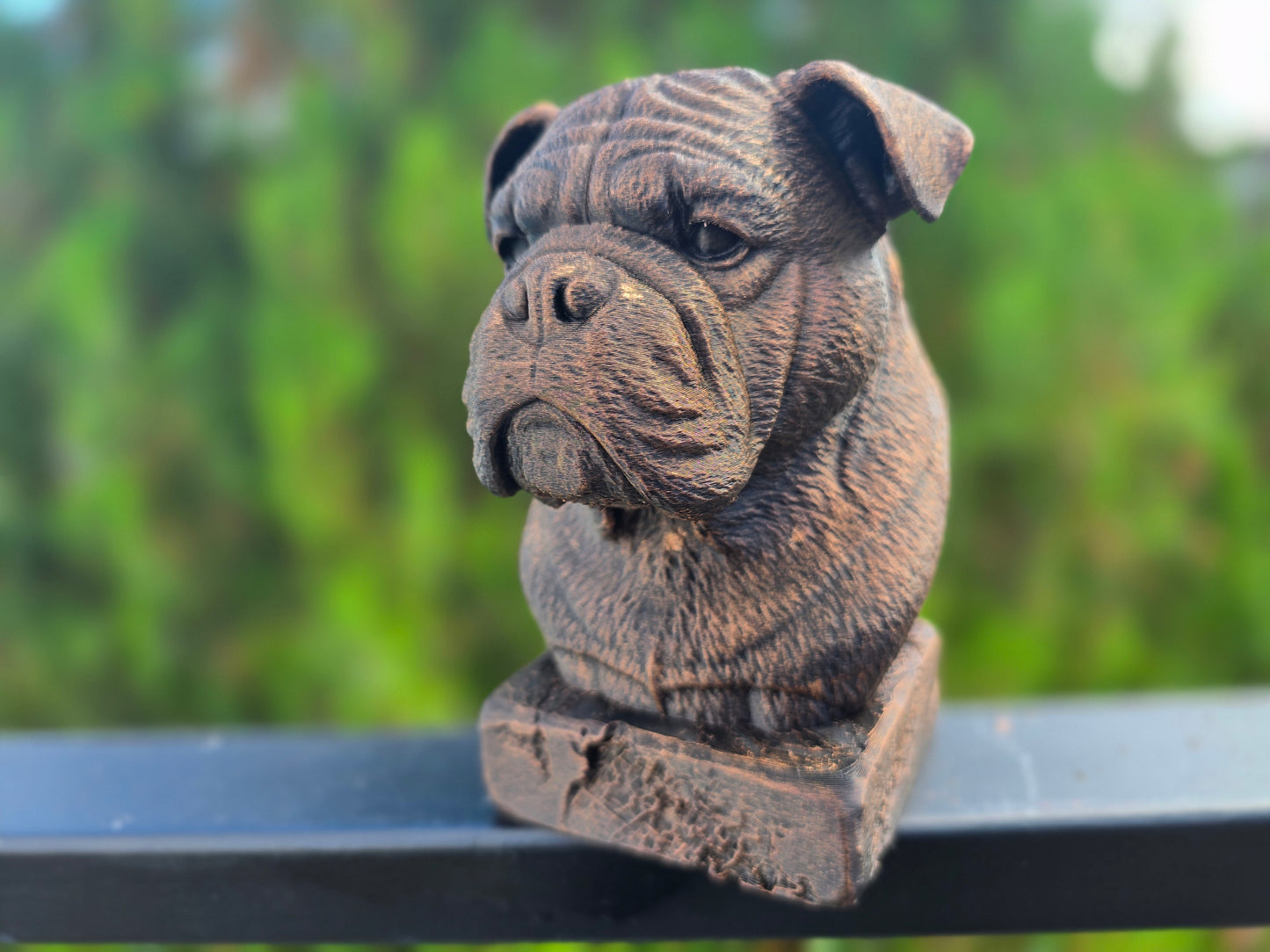 Continental Bulldog Bust