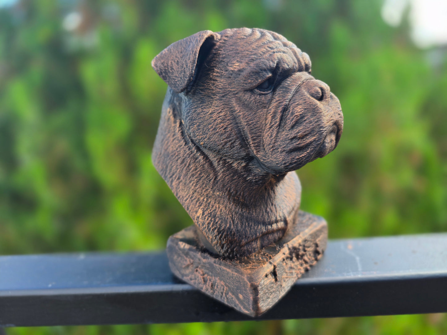 Continental Bulldog Bust