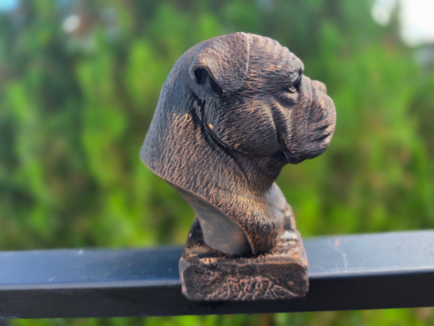 Continental Bulldog Bust