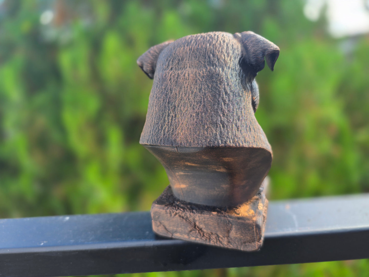 Continental Bulldog Bust