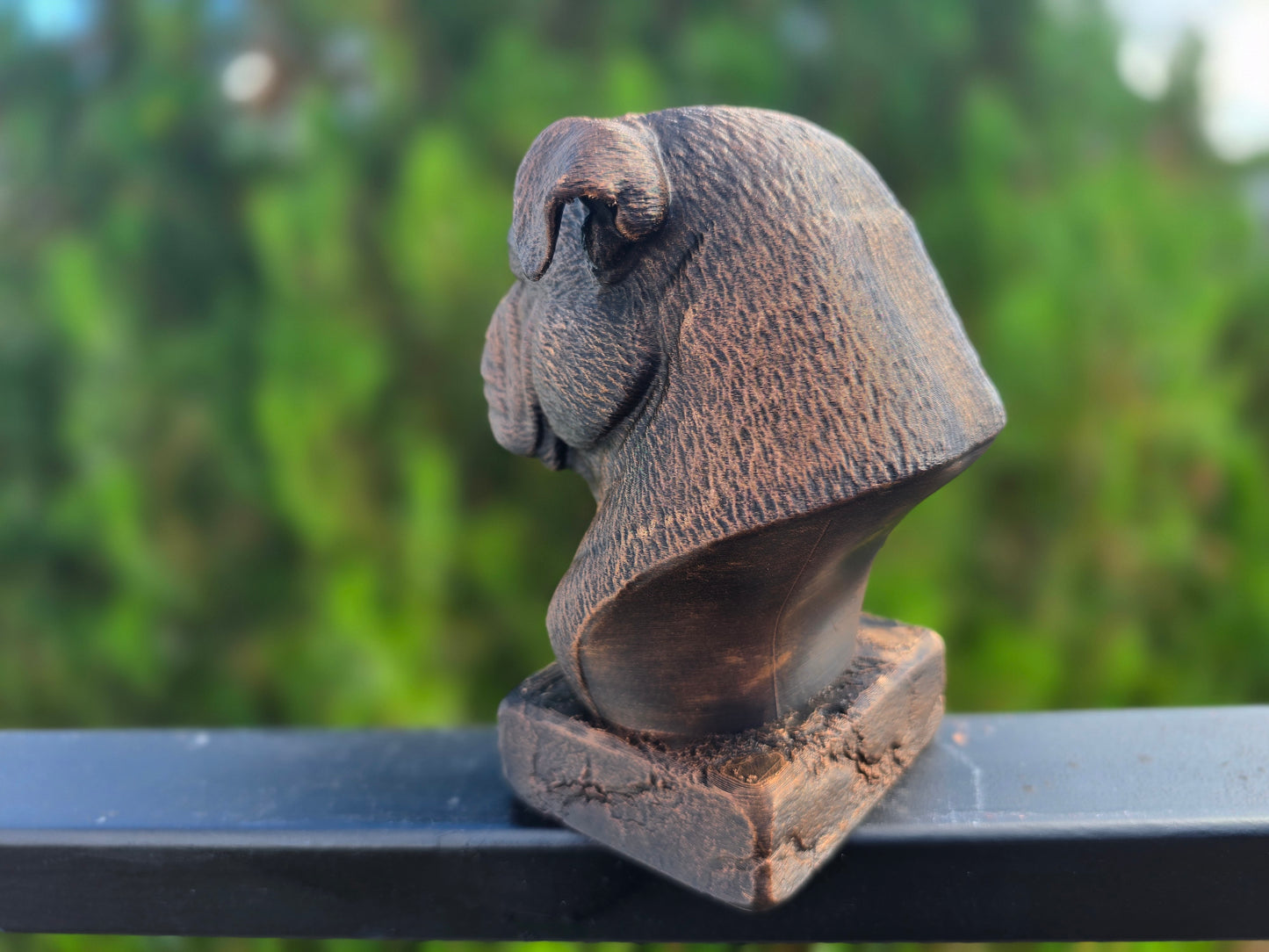 Continental Bulldog Bust