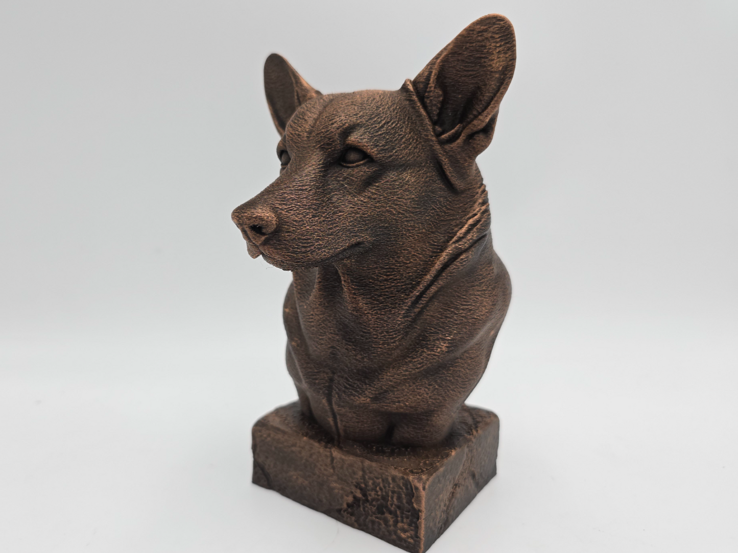 Corgi Bust