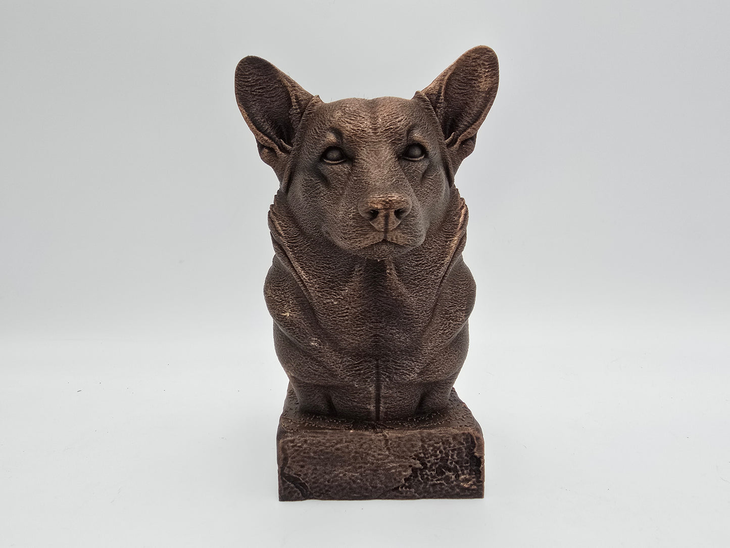 Corgi Bust