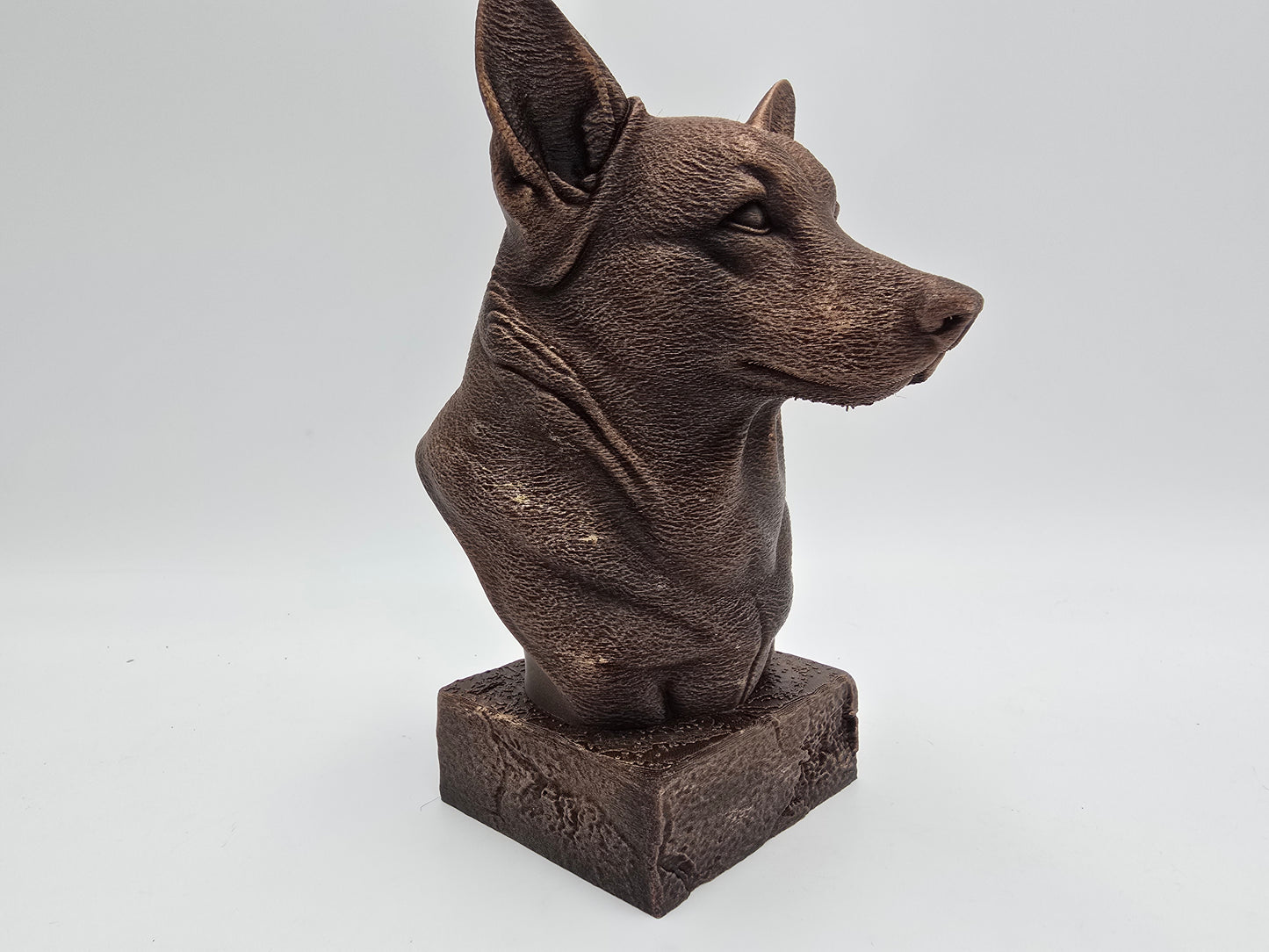 Corgi Bust