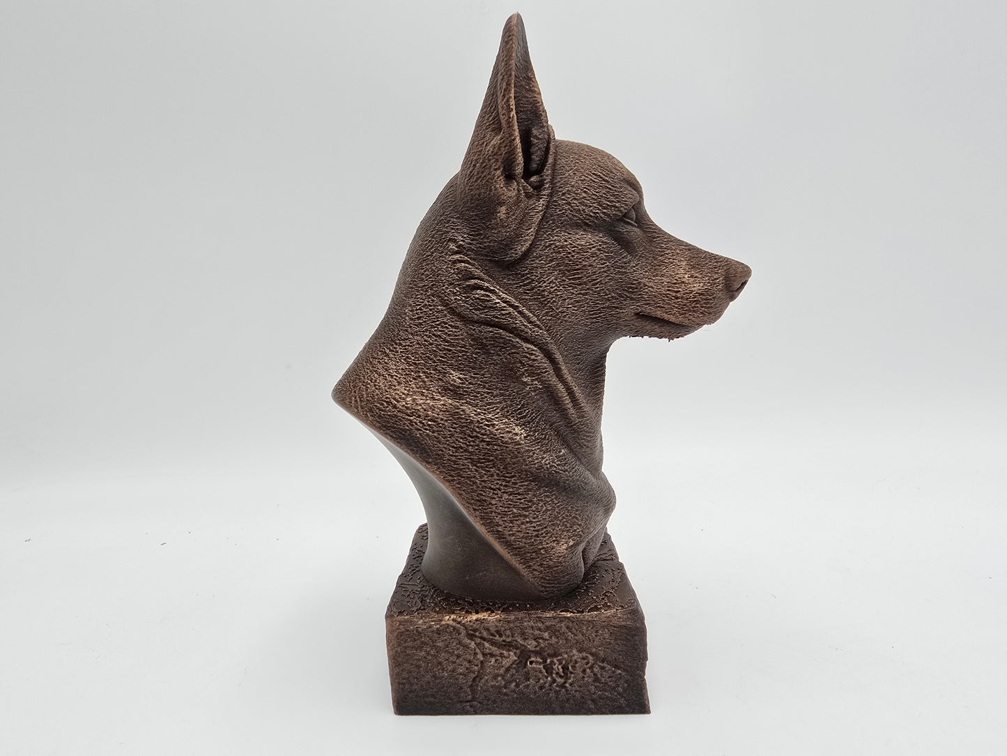 Corgi Bust