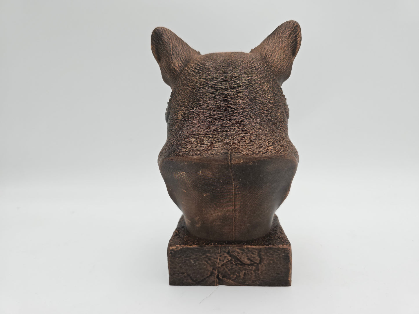 Corgi Bust