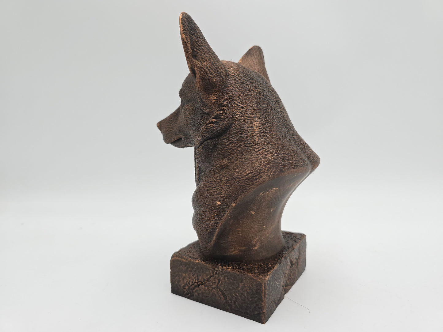 Corgi Bust