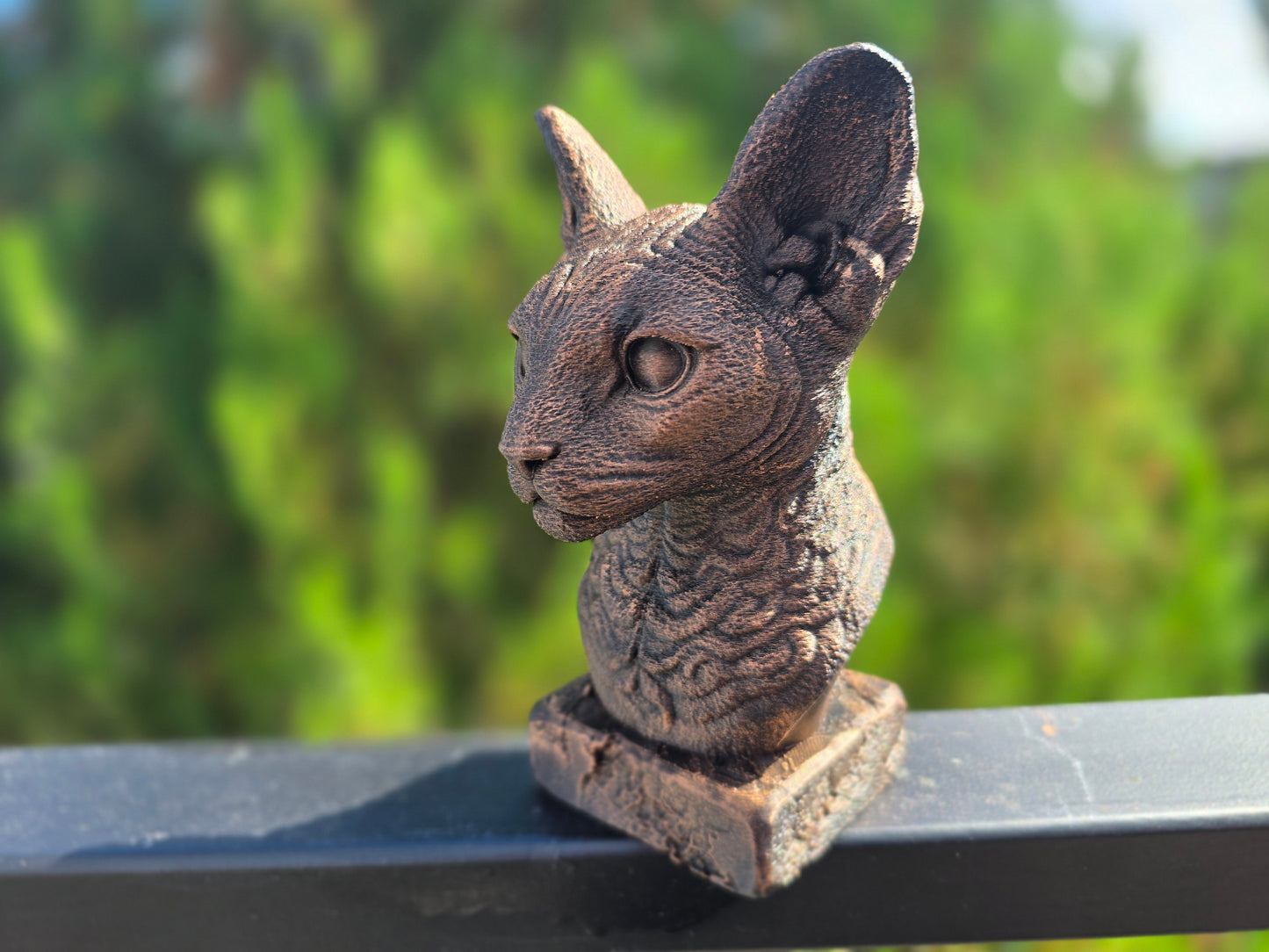 Cornish Rex Bust