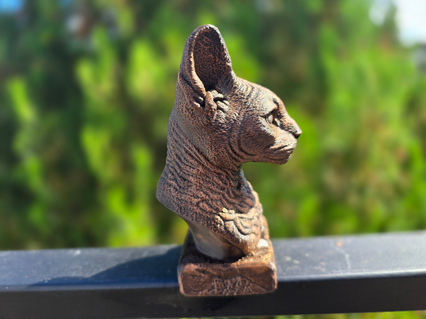 Cornish Rex Bust