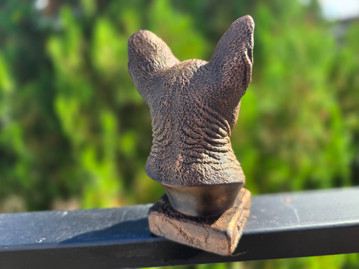 Cornish Rex Bust
