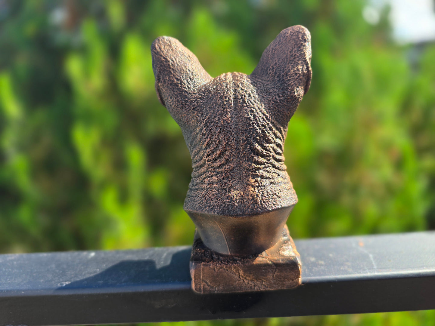 Cornish Rex Bust