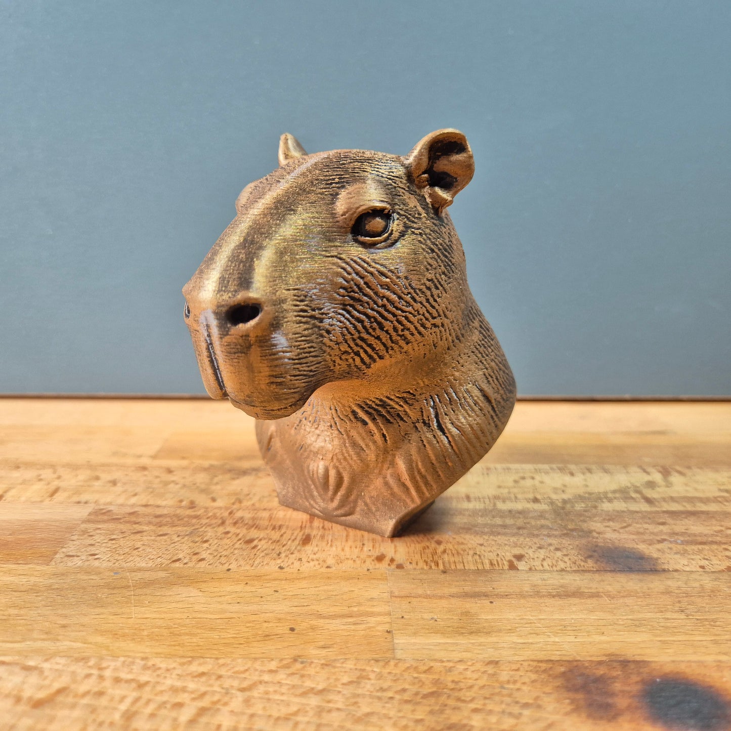 Cabybara Bust