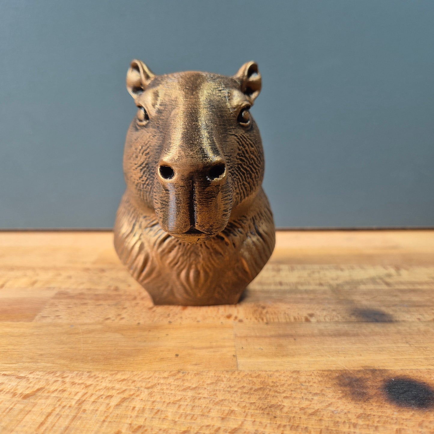 Cabybara Bust