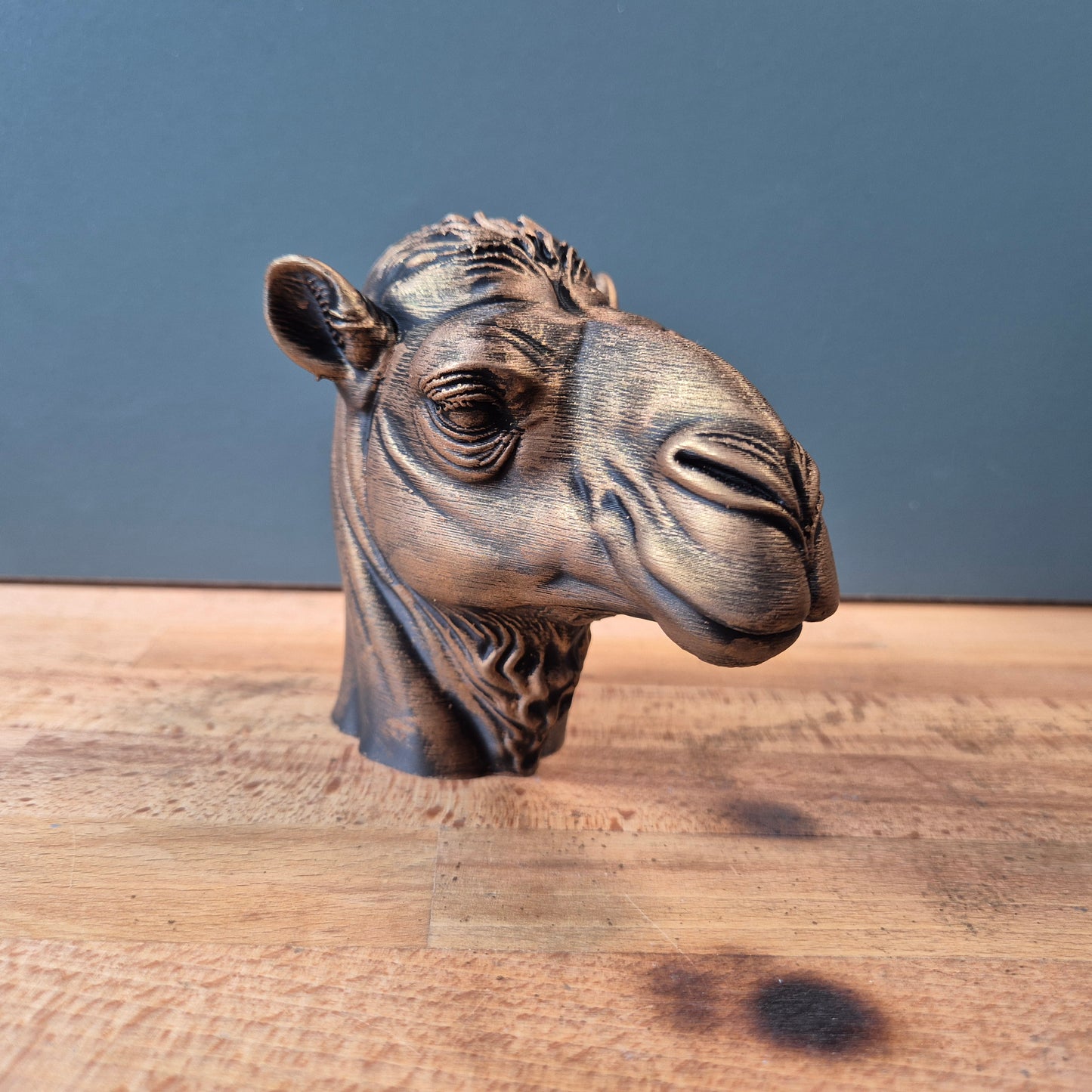 Camel Bust