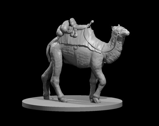 Dungeons & Dragons Camel Mount Miniature