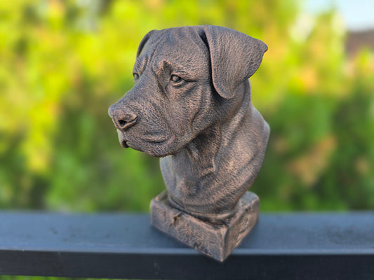 Canarian Mastiff Bust