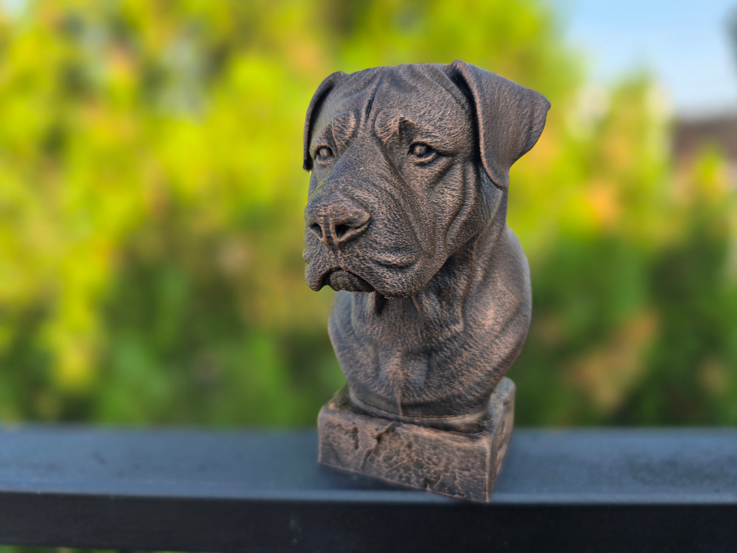 Canarian Mastiff Bust