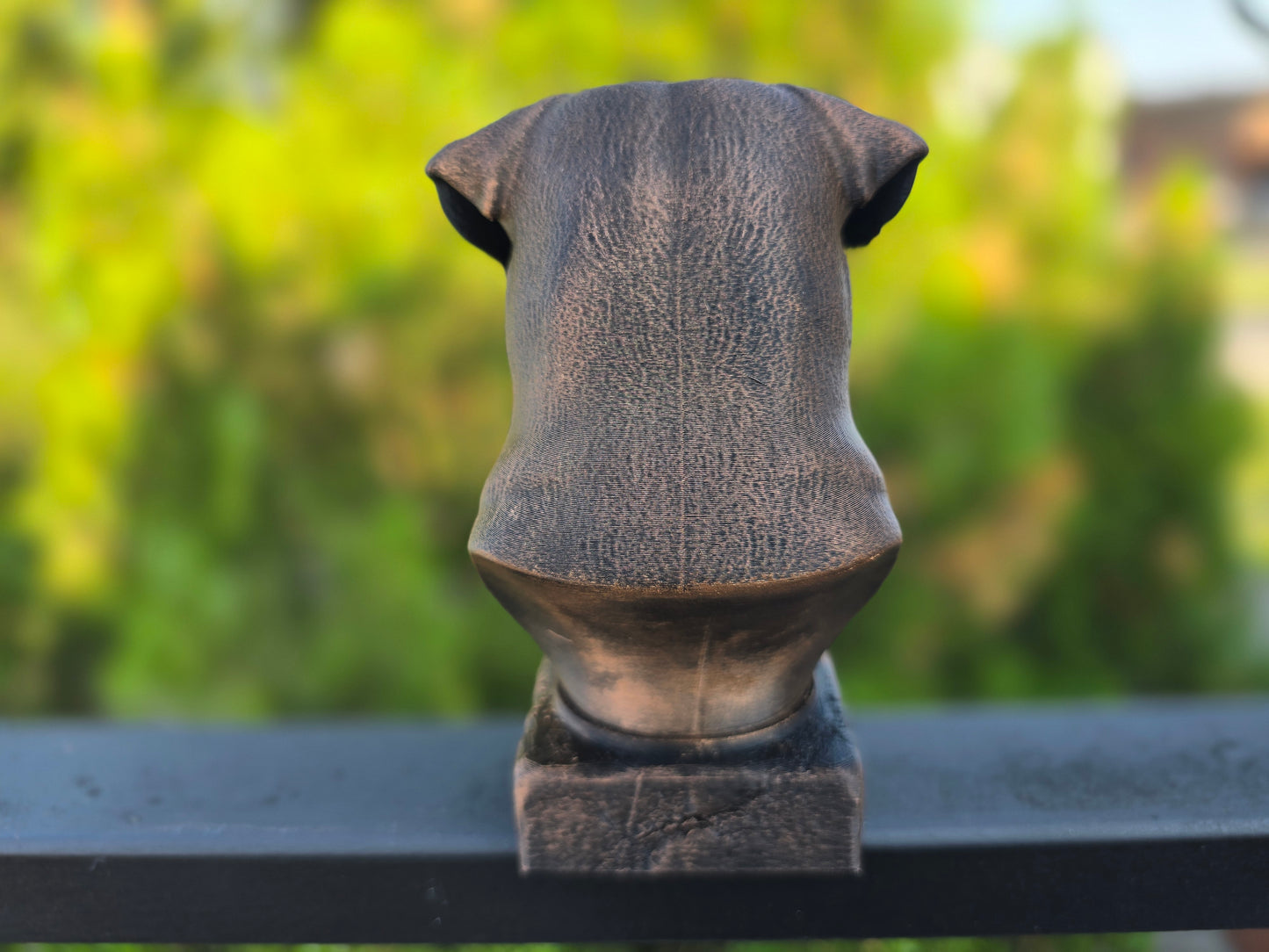 Canarian Mastiff Bust