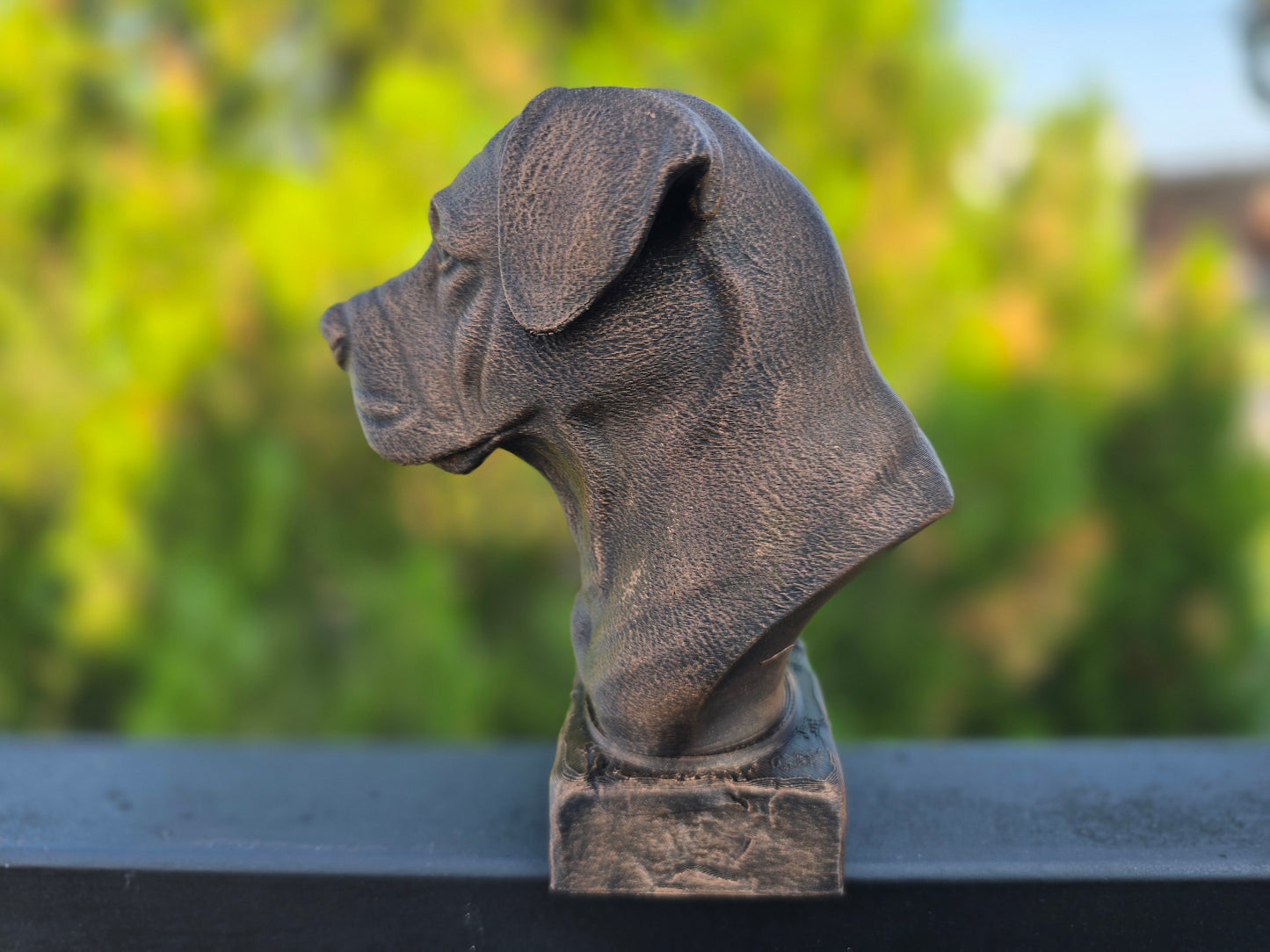 Canarian Mastiff Bust