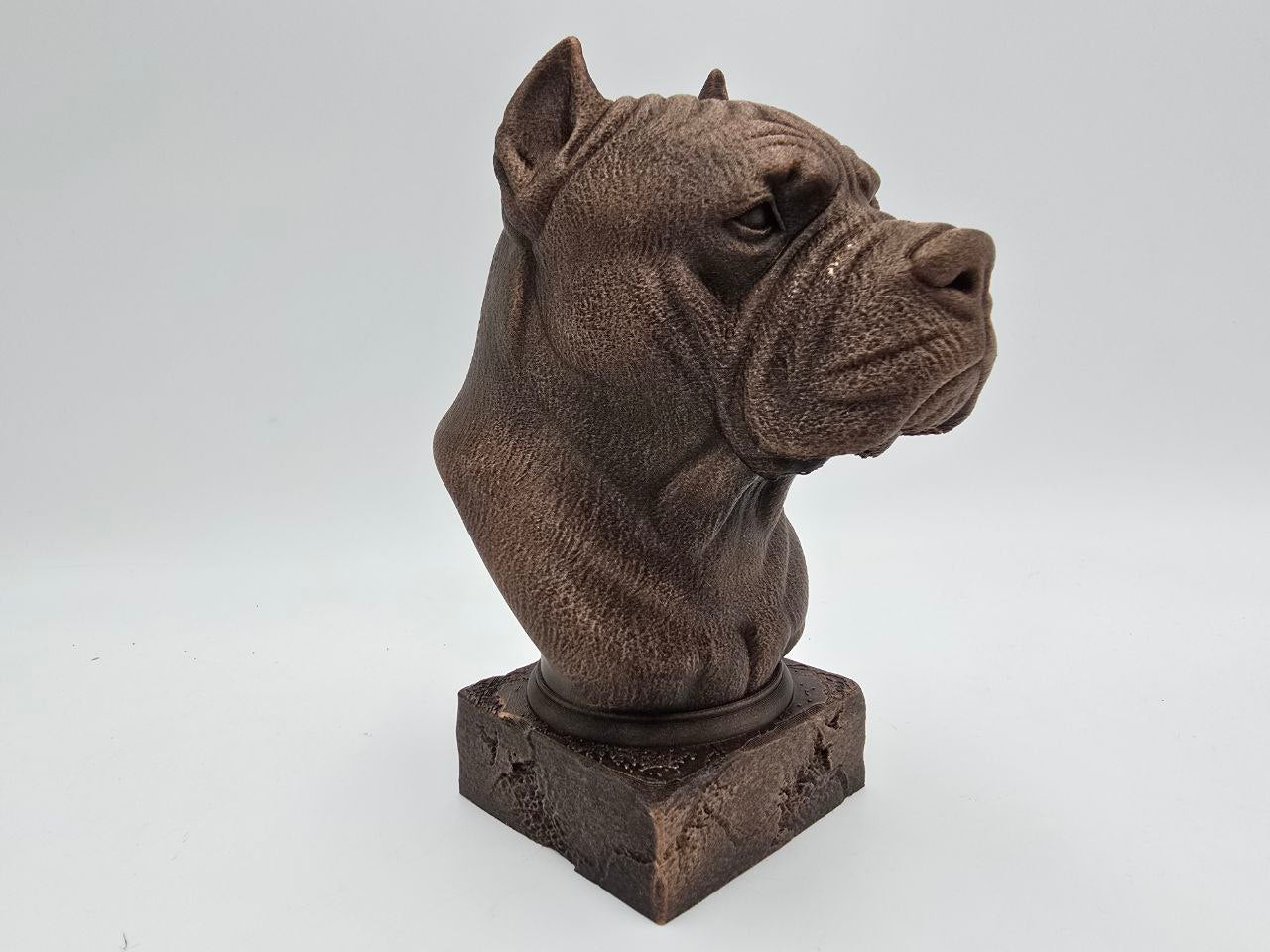 Cane Corso Bust