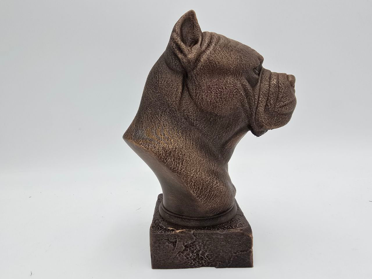 Cane Corso Bust