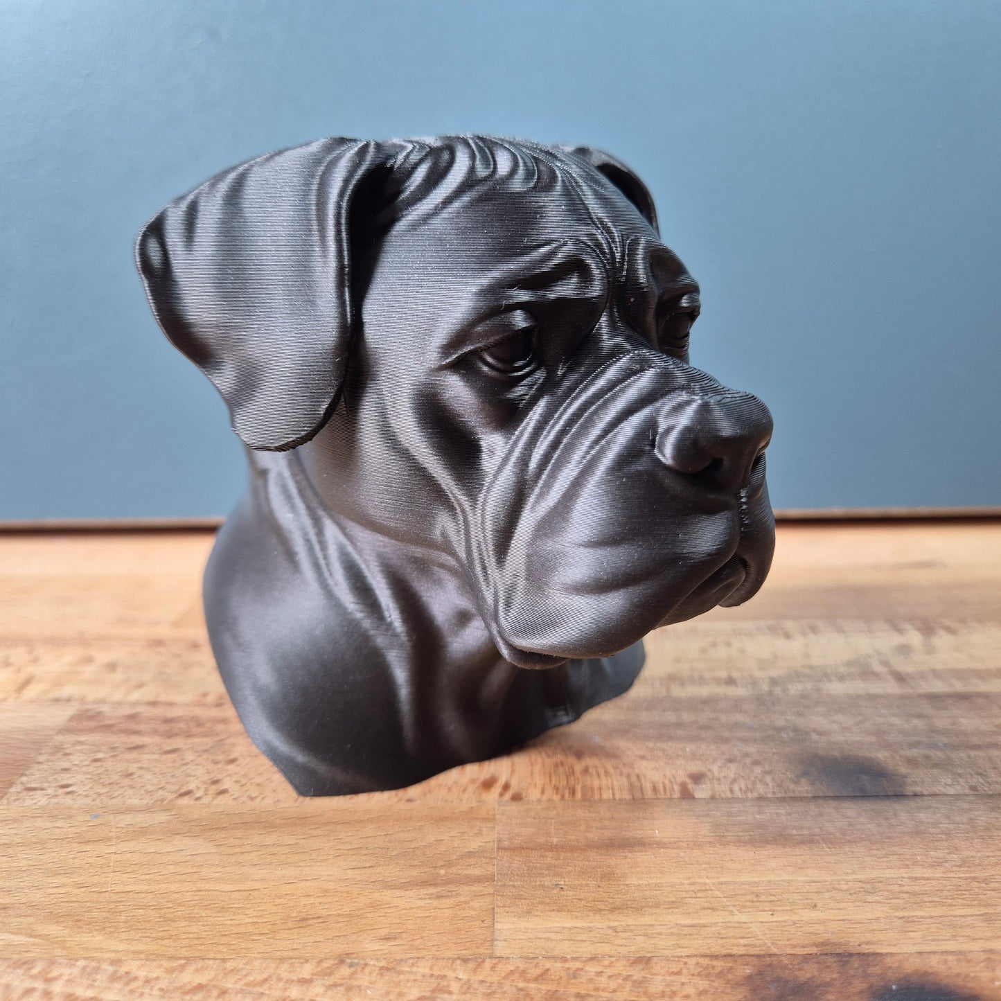 Cane Corso Bust
