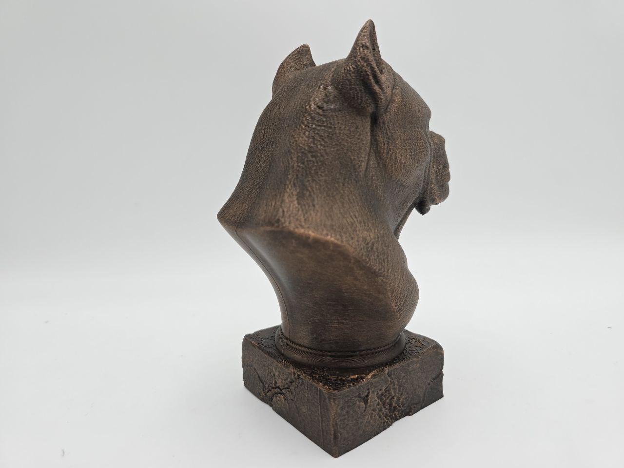 Cane Corso Bust