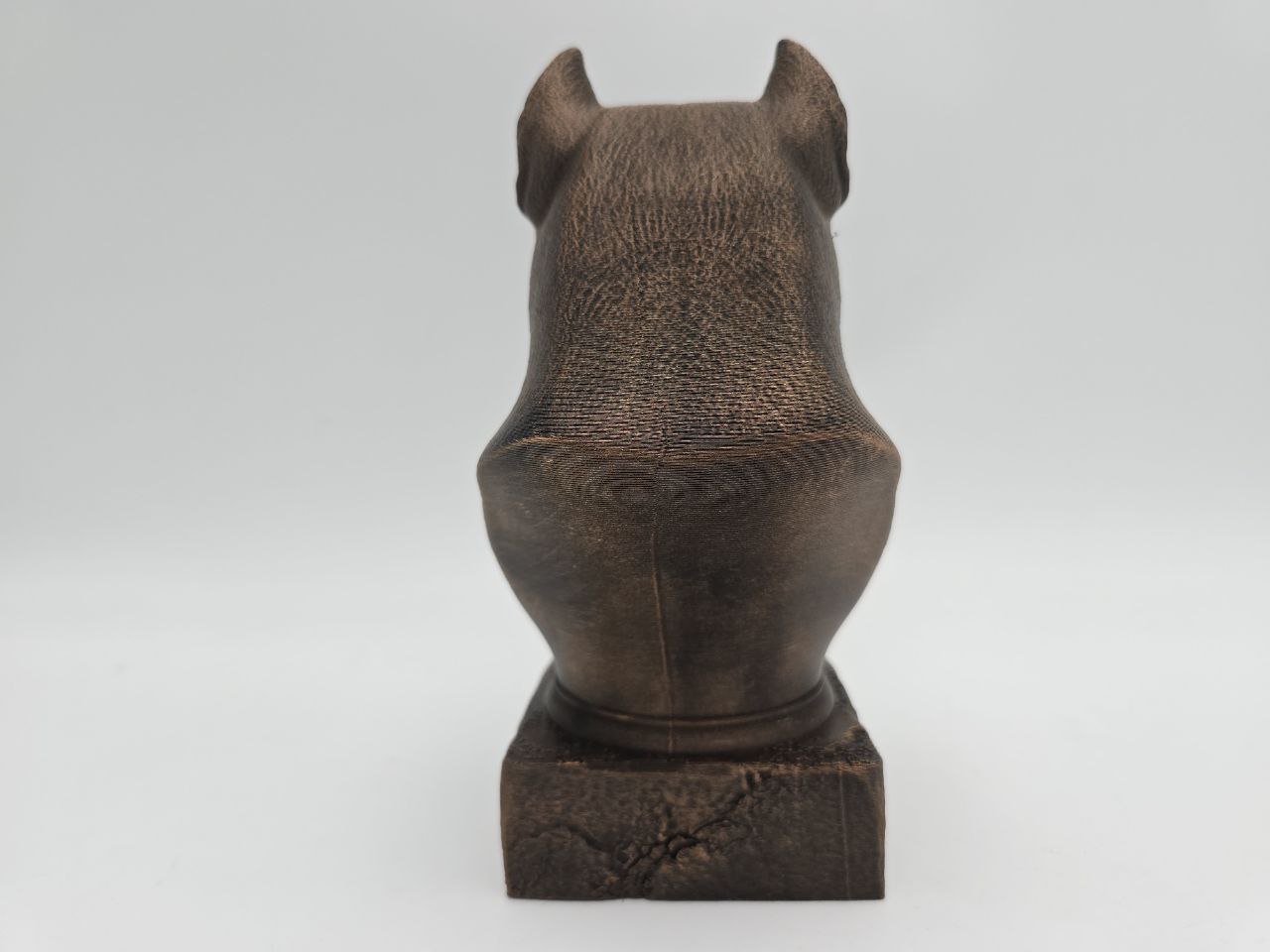 Cane Corso Bust