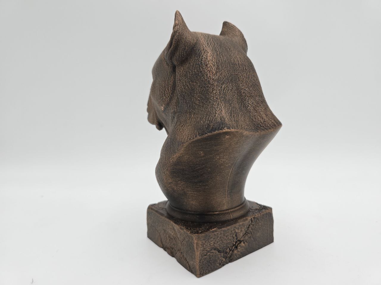 Cane Corso Bust