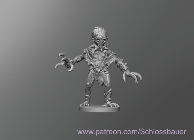 Dungeons & Dragons Cantor Miniature