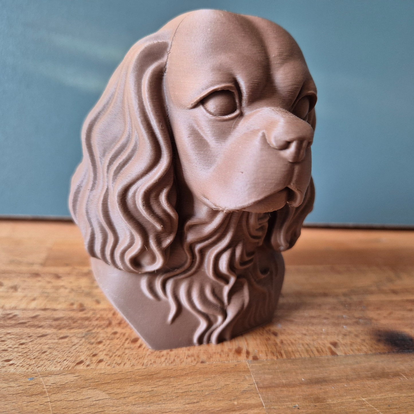 Cavalier King Charles Spaniel Bust