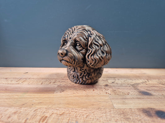 Cavapoo Bust