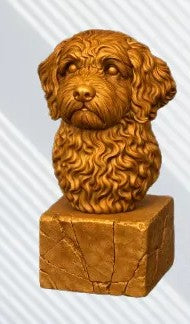 Cavapoo Bust