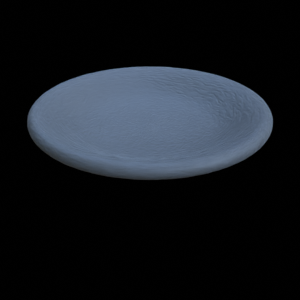 Large Empty Ceramic Plate