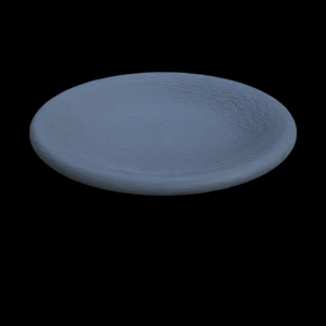 Medium  Empty Ceramic Plate