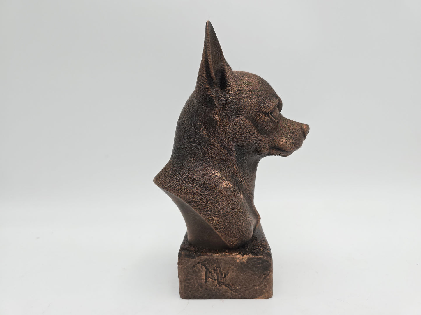 Chihuahua Bust