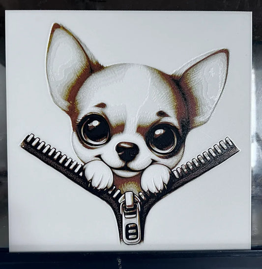 Chihuahua zipper