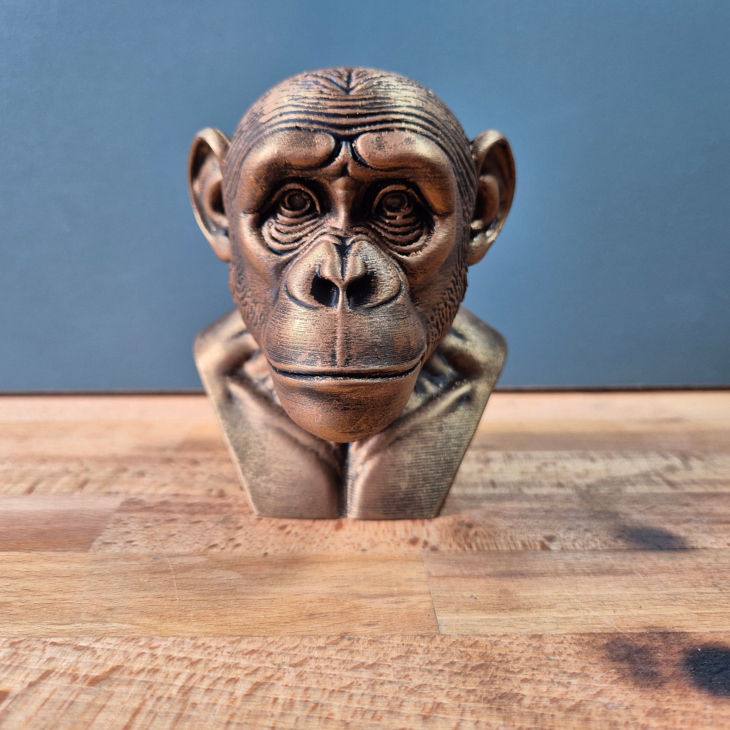 Chimpanzee Bust