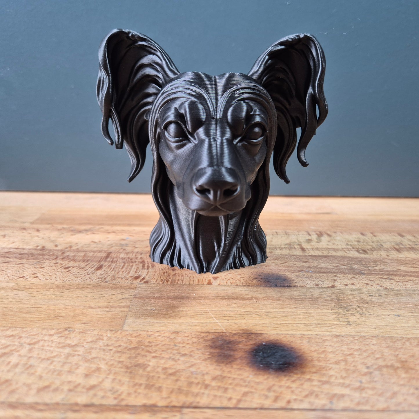 Chinese Crested Bust