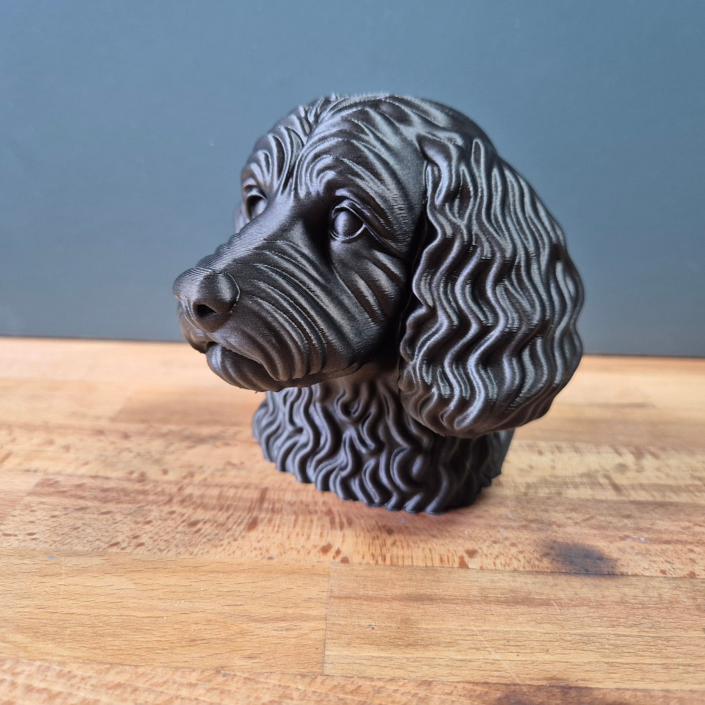 Cockapoo Bust