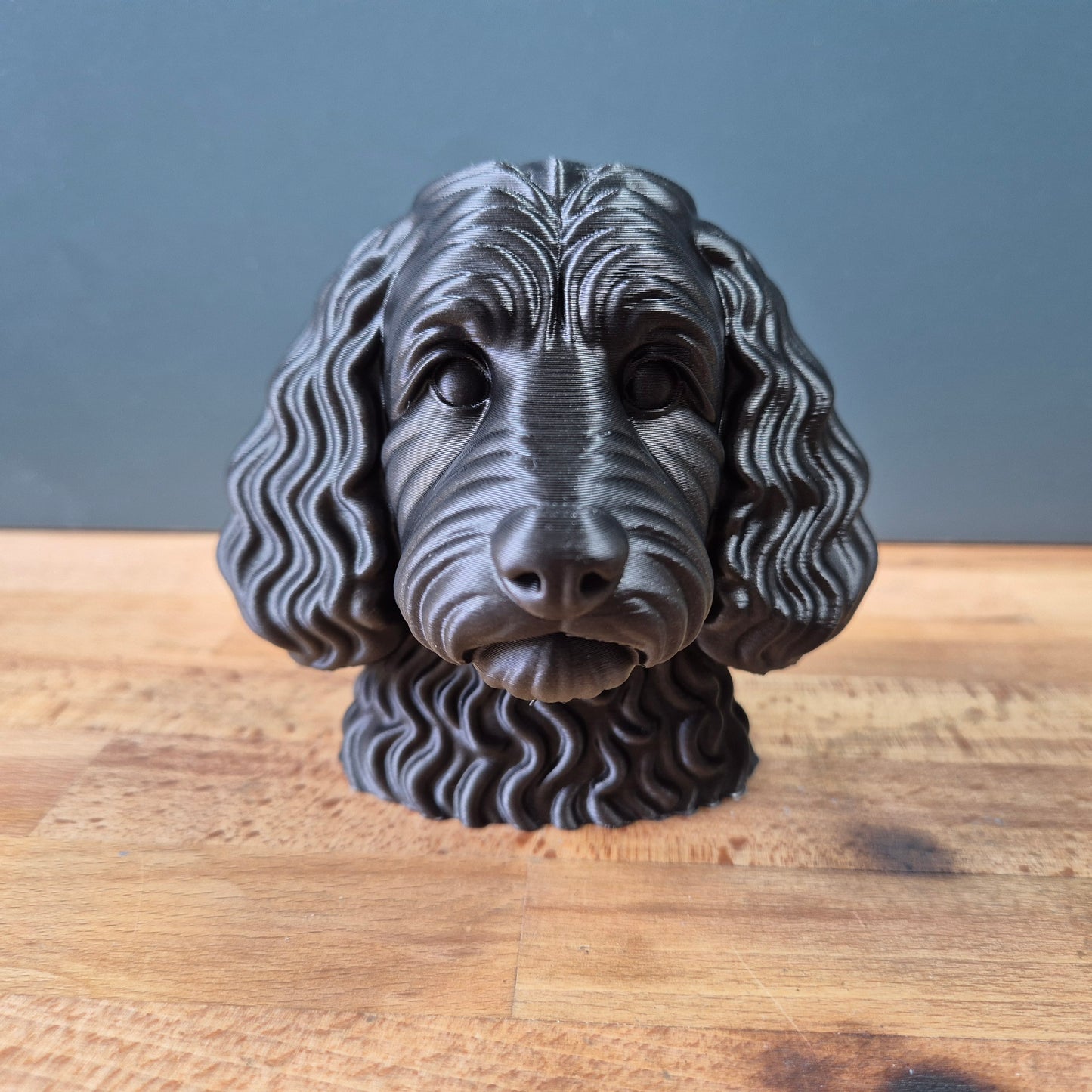 Cockapoo Bust