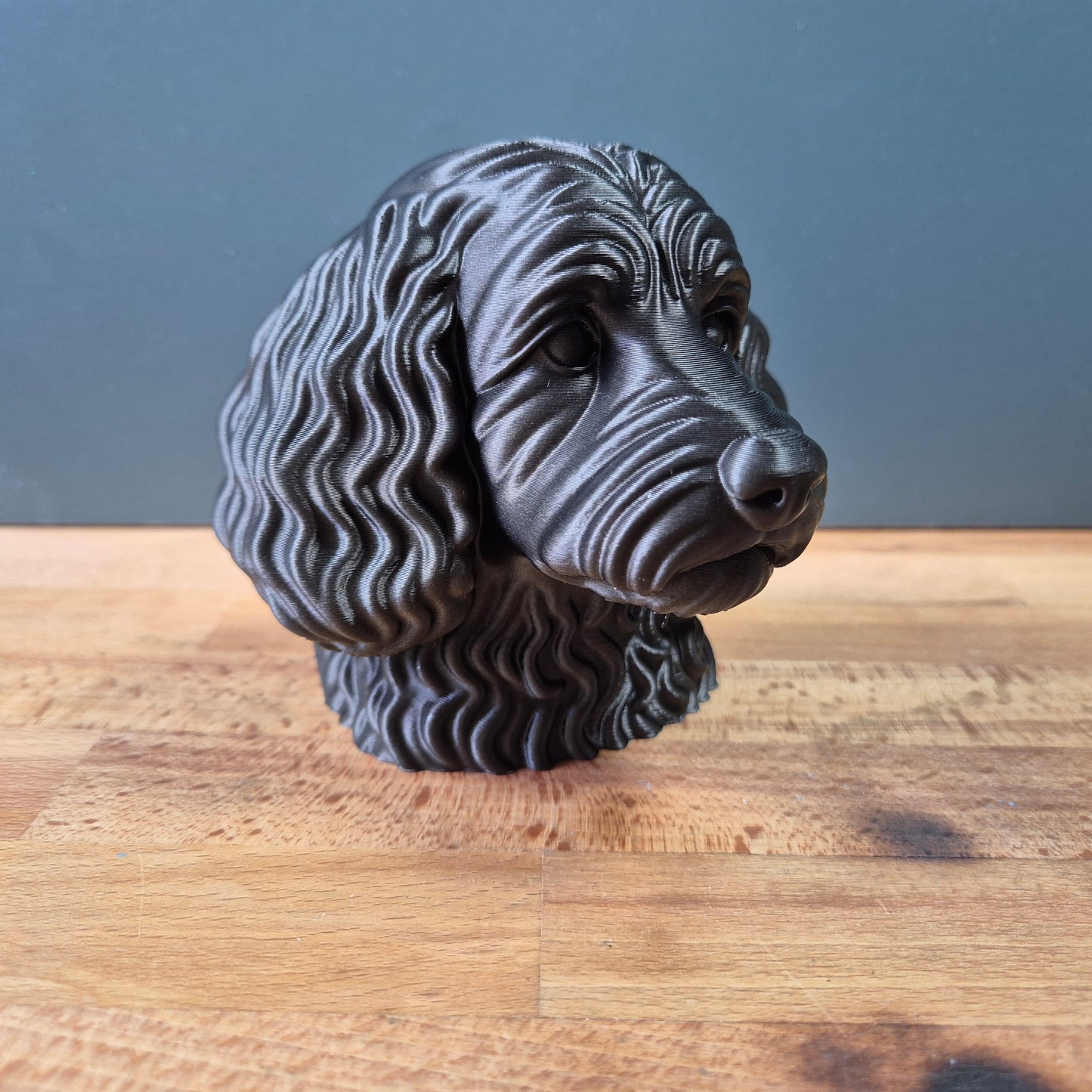 Cockapoo Bust