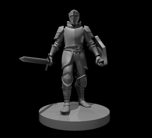 Dungeons & Dragons Conquest Paladin Miniature