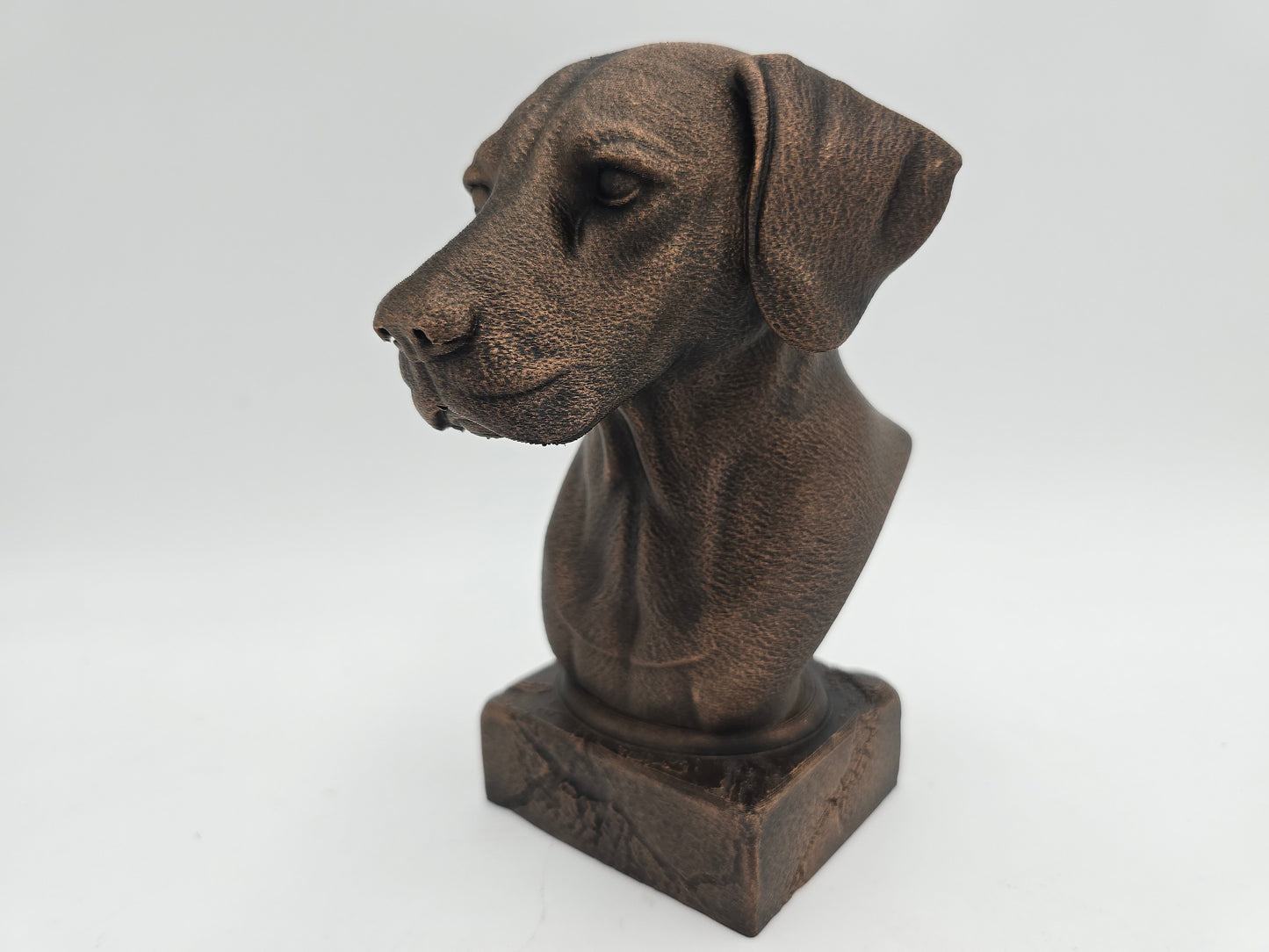 Dalmation Bust