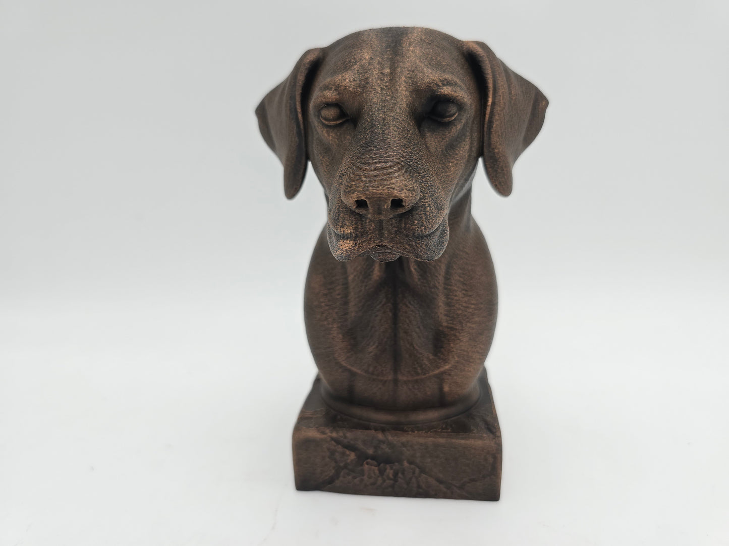 Dalmation Bust