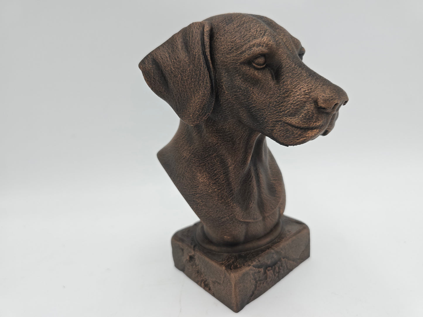 Dalmation Bust