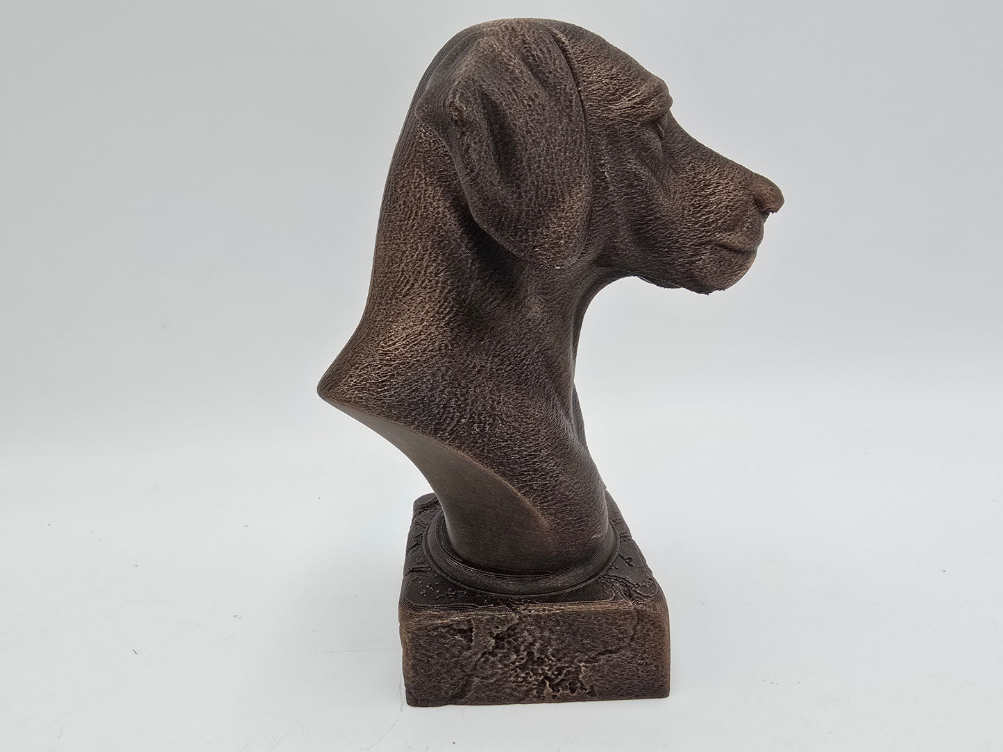 Dalmation Bust